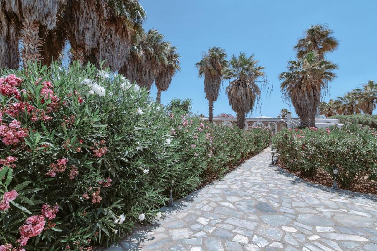 Palm Heaven Boutique Apartments Antiparos Town Zewnętrze zdjęcie