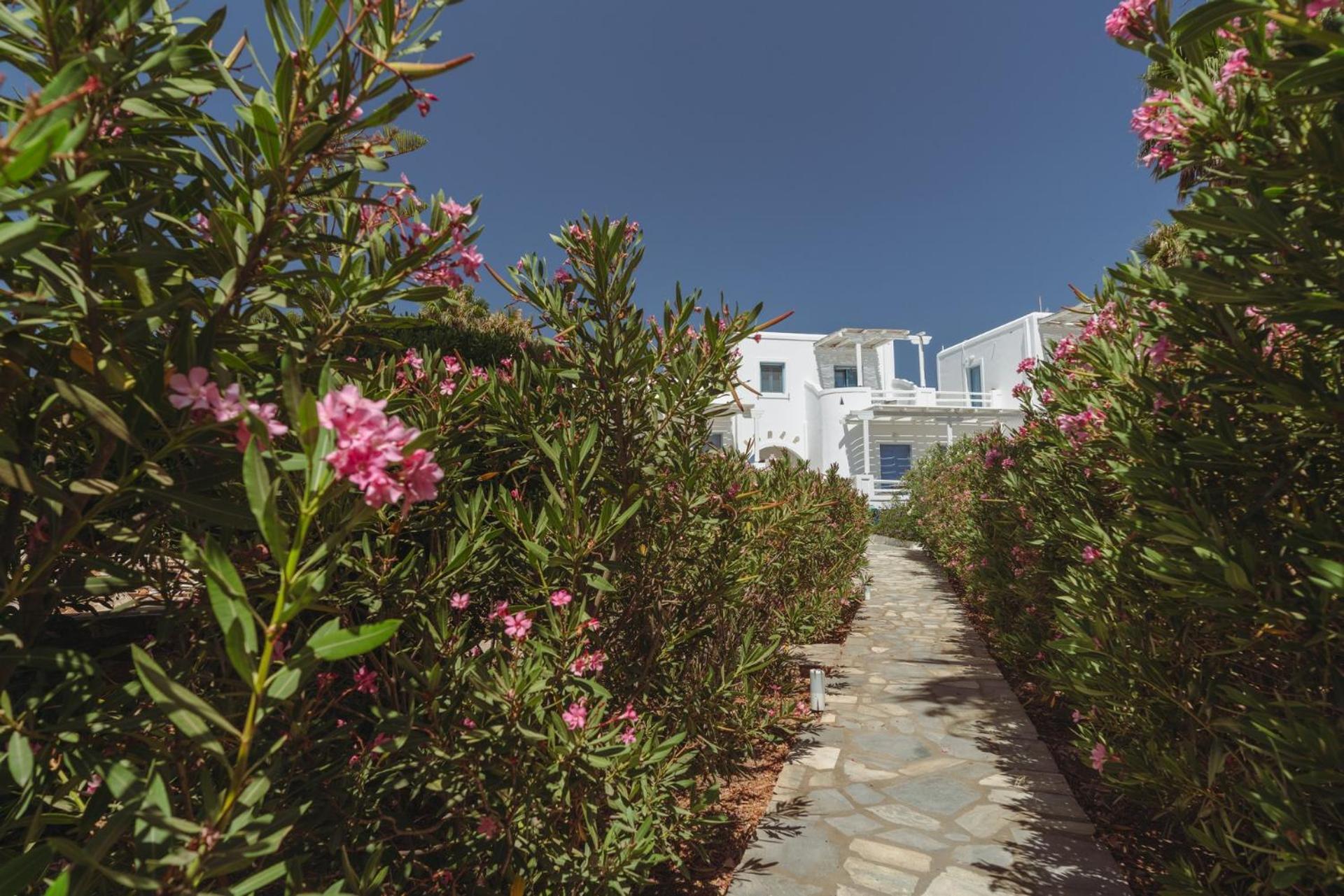 Palm Heaven Boutique Apartments Antiparos Town Zewnętrze zdjęcie